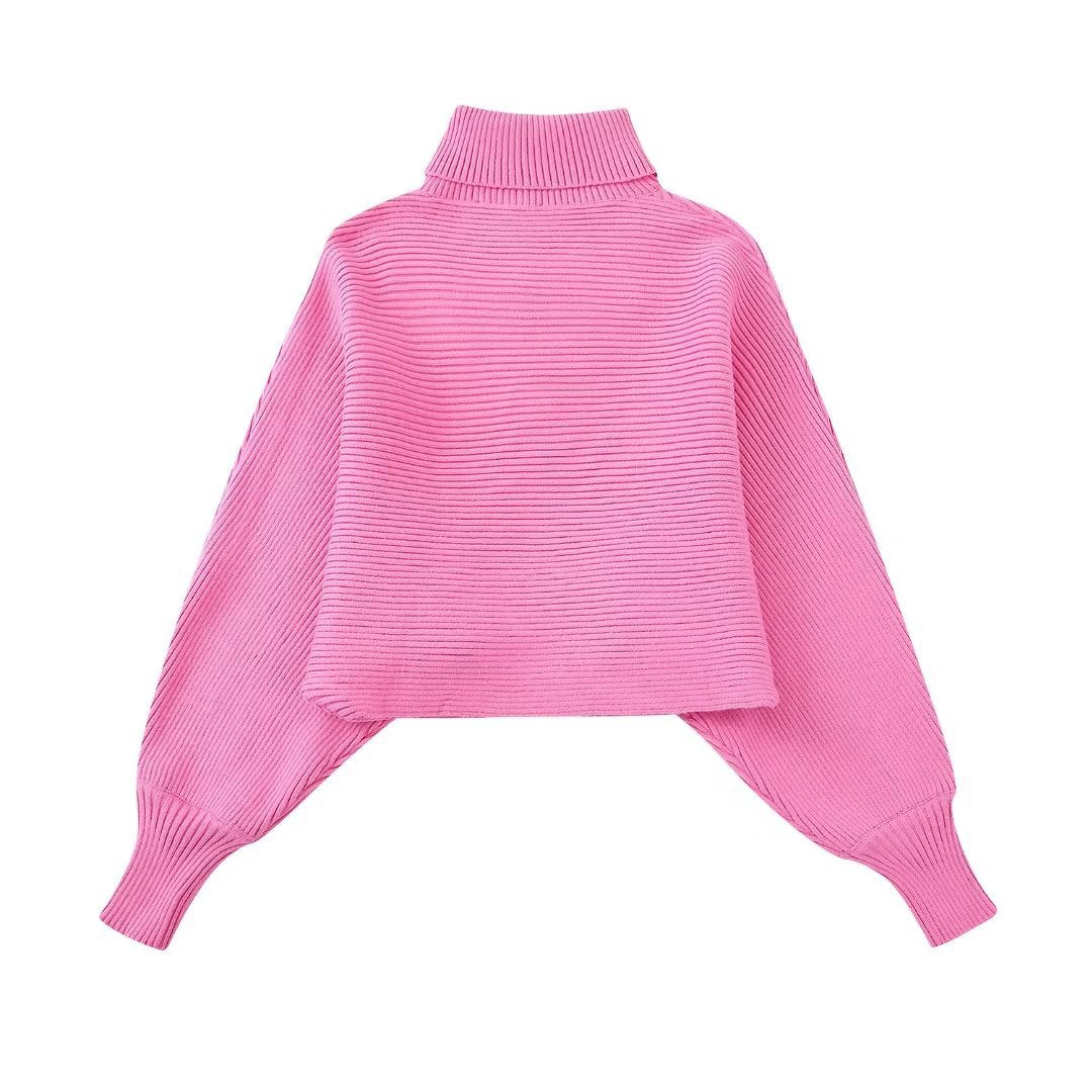 Women's Pink Cropped Sweater & Skirt